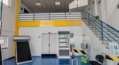 Pavillon T0 à Pinhal Novo de 280 m²