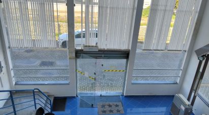 Pavillon T0 à Pinhal Novo de 280 m²