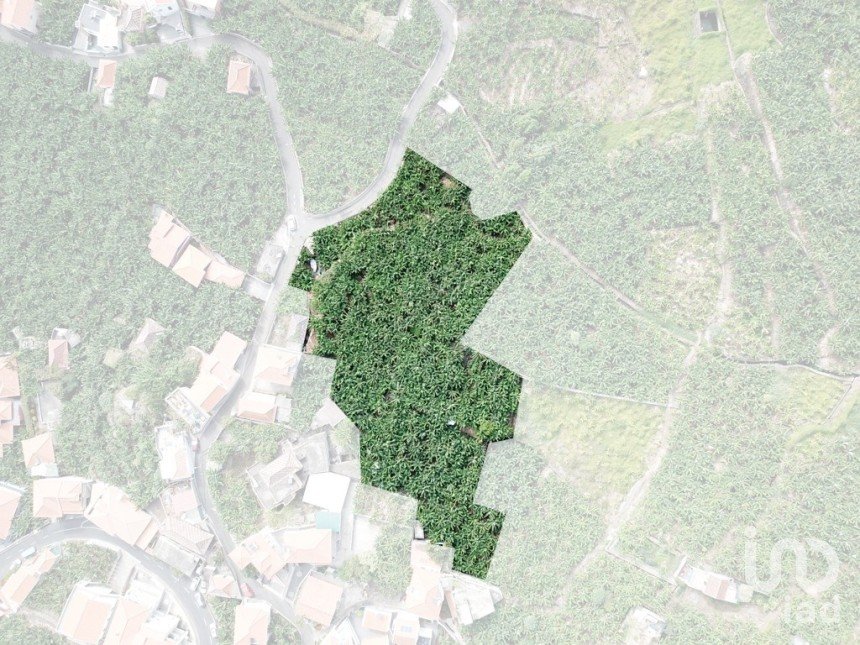Terreno em Ponta do Sol de 3 990 m²