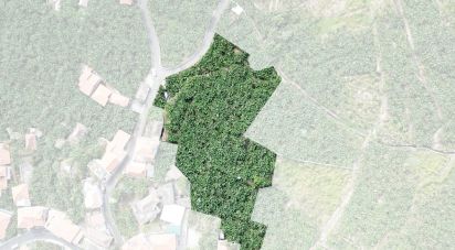 Land in Ponta do Sol of 3,990 m²