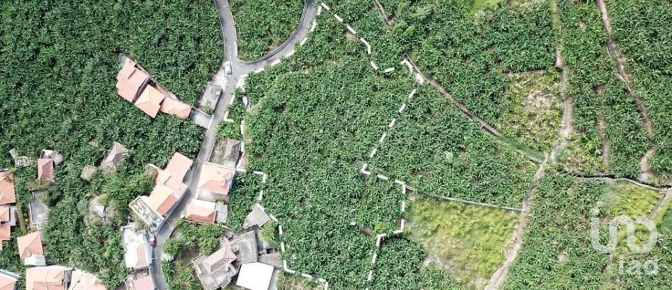 Terreno em Ponta do Sol de 3 990 m²