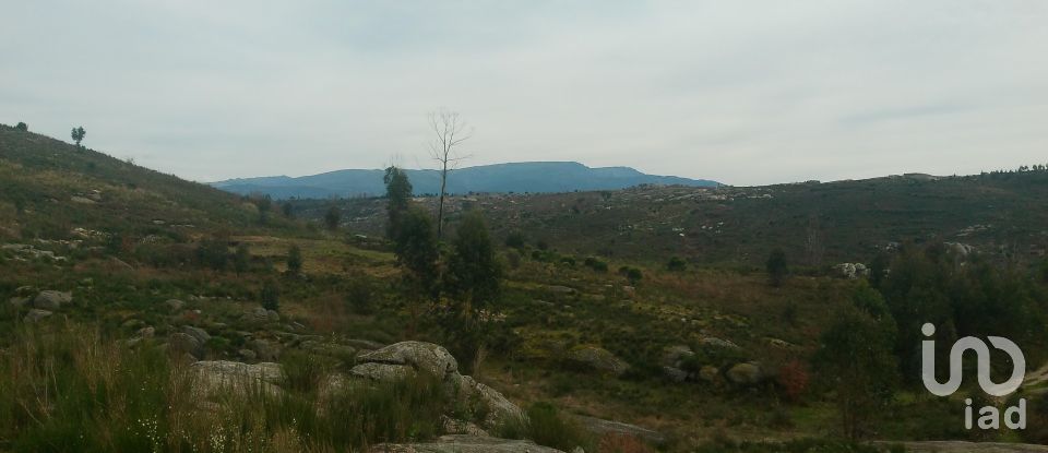 Terreno em Seixo da Beira de 16 000 m²