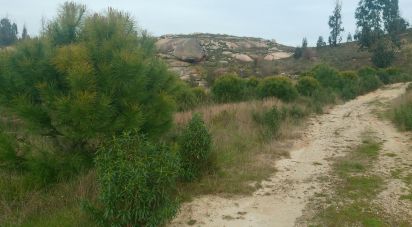 Terrain à Seixo da Beira de 16 000 m²