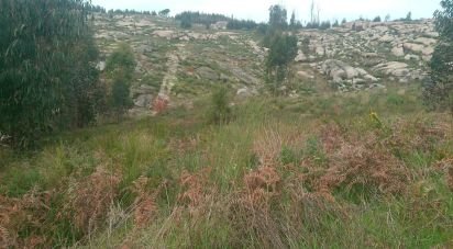 Terrain à Seixo da Beira de 16 000 m²