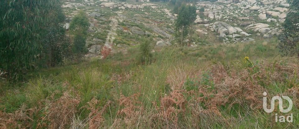 Terreno em Seixo da Beira de 16 000 m²