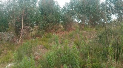 Terrain à Seixo da Beira de 16 000 m²