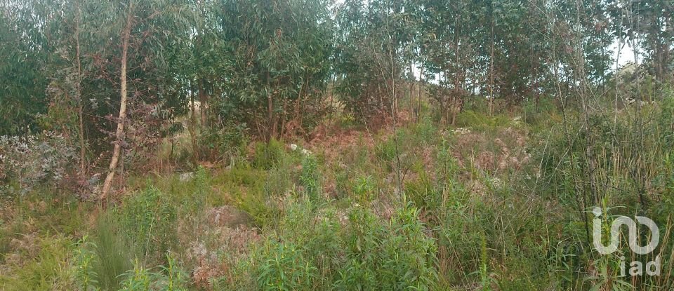 Terreno em Seixo da Beira de 16 000 m²