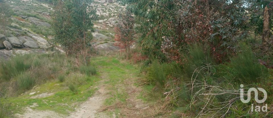 Terreno em Seixo da Beira de 16 000 m²