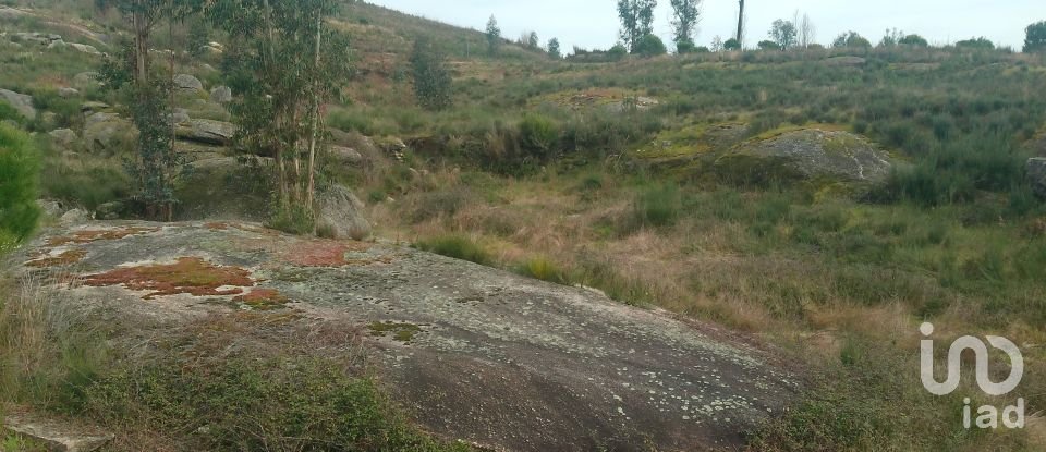 Terreno em Seixo da Beira de 16 000 m²