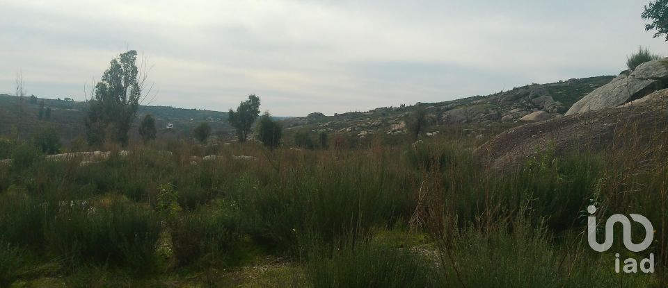 Terreno em Seixo da Beira de 16 000 m²