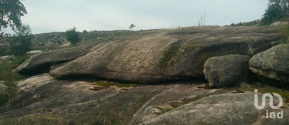 Terreno em Seixo da Beira de 16 000 m²
