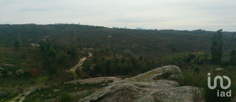 Terreno em Seixo da Beira de 16 000 m²