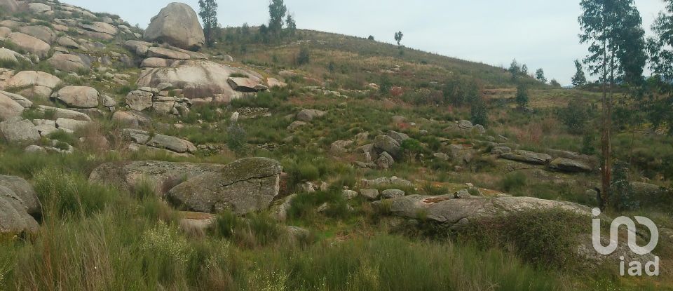 Terreno em Seixo da Beira de 16 000 m²