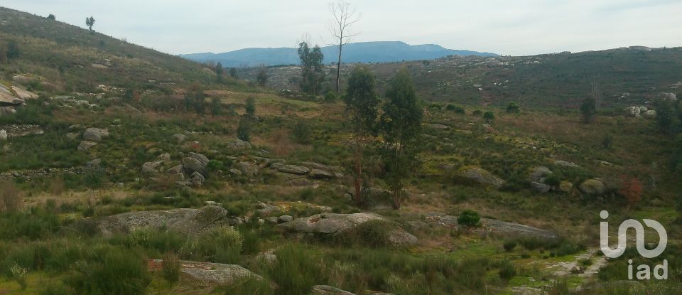 Terreno em Seixo da Beira de 16 000 m²