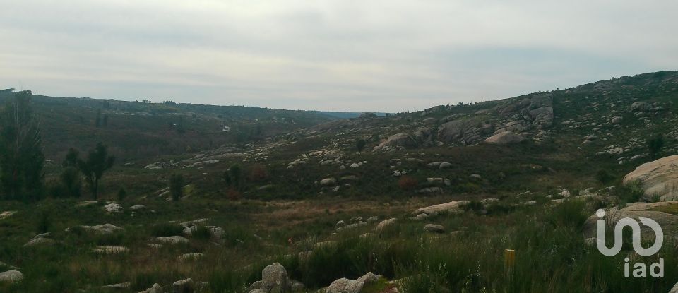 Terreno em Seixo da Beira de 16 000 m²