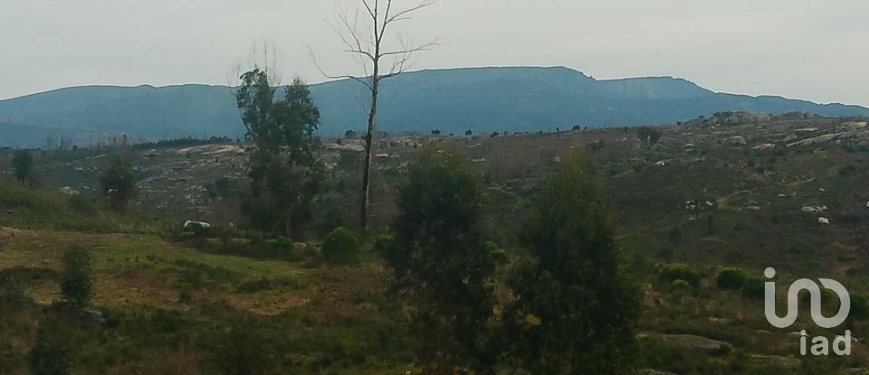 Terreno em Seixo da Beira de 16 000 m²