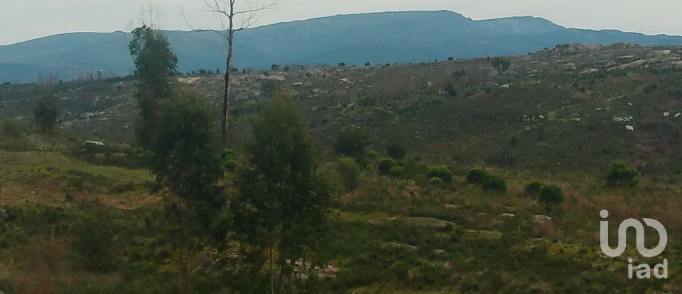 Terreno em Seixo da Beira de 16 000 m²