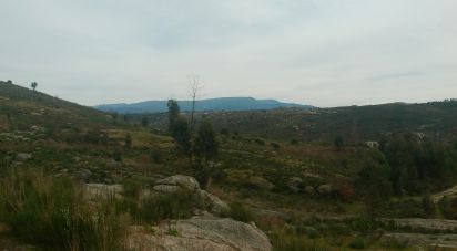 Terrain à Seixo da Beira de 16 000 m²