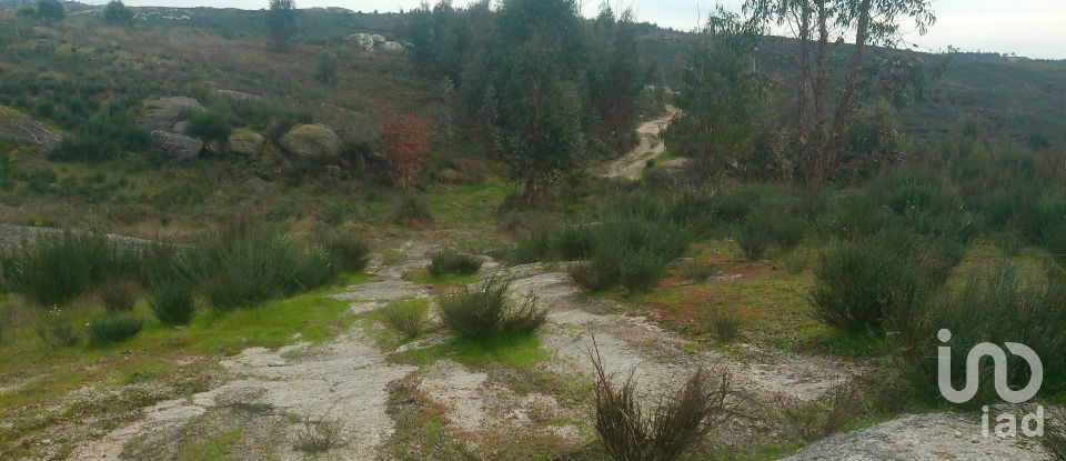Terreno em Seixo da Beira de 16 000 m²