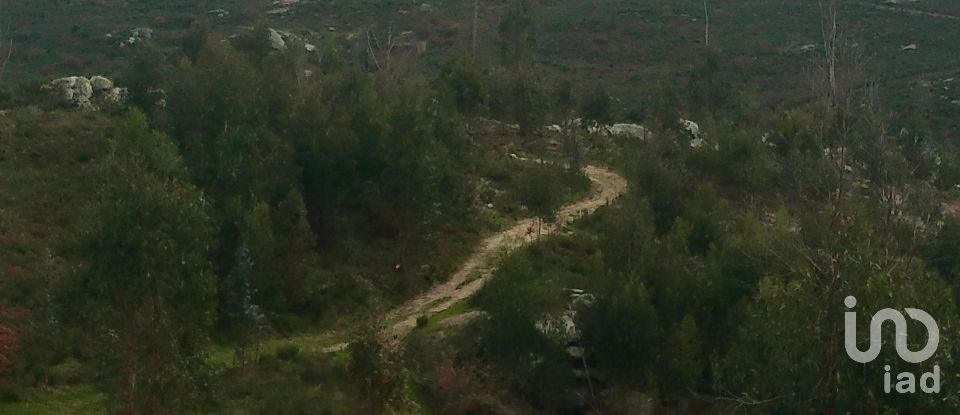 Terreno em Seixo da Beira de 16 000 m²