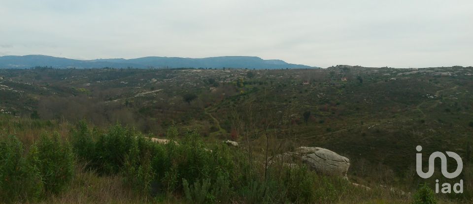 Terreno em Seixo da Beira de 16 000 m²