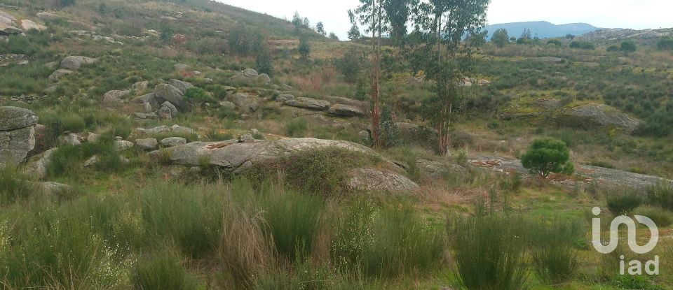 Terreno em Seixo da Beira de 16 000 m²