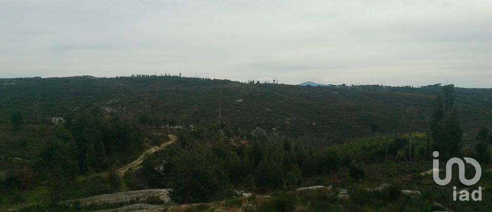 Terreno em Seixo da Beira de 16 000 m²