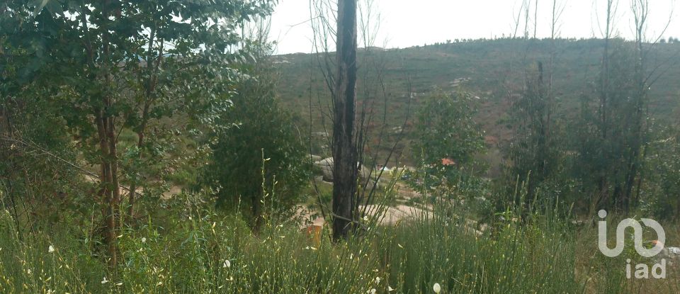 Terreno em Seixo da Beira de 16 000 m²