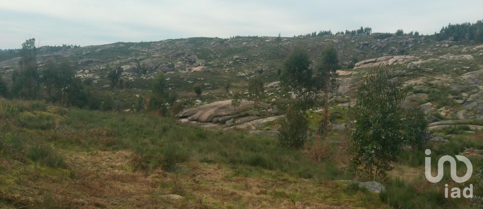 Terreno em Seixo da Beira de 16 000 m²