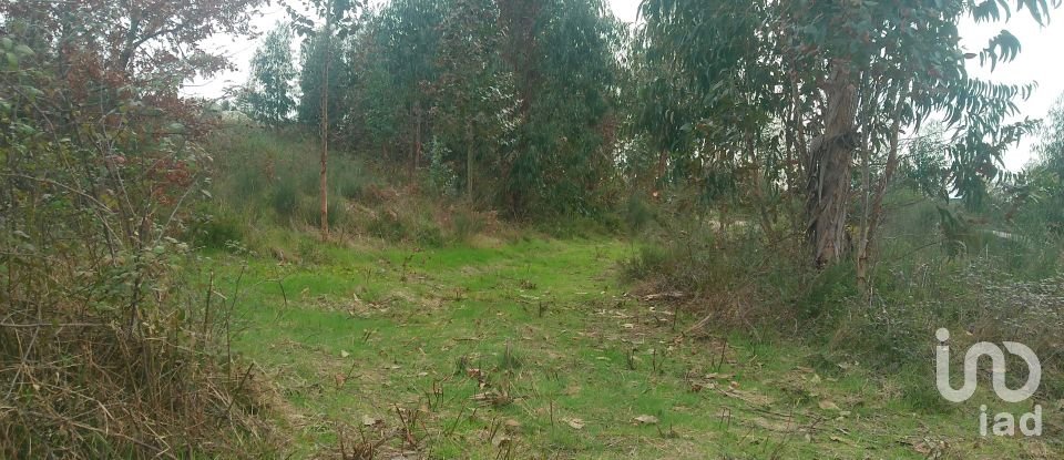 Terreno em Seixo da Beira de 16 000 m²