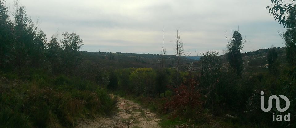 Terreno em Seixo da Beira de 16 000 m²