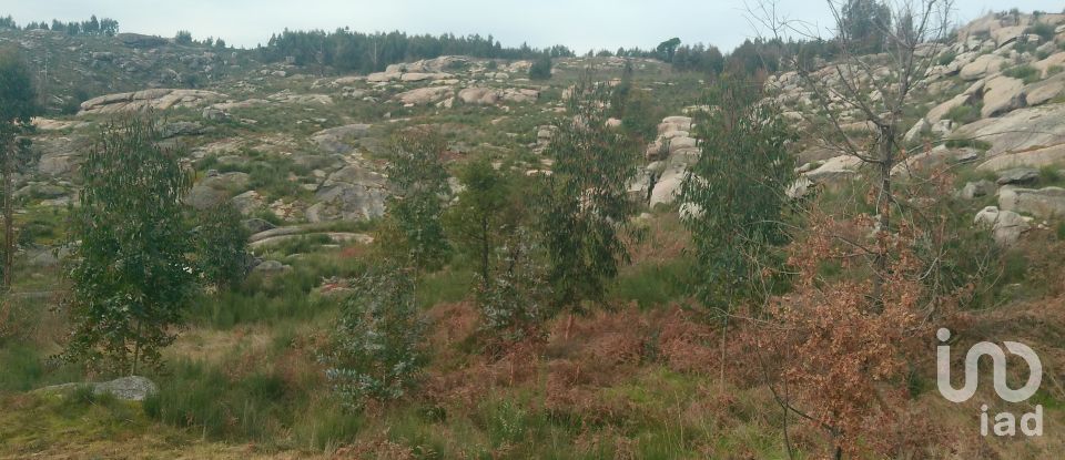 Terreno em Seixo da Beira de 16 000 m²