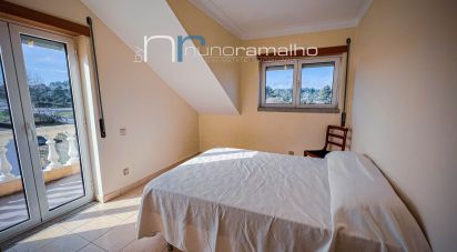 House T5 in Pinhel of 240 m²