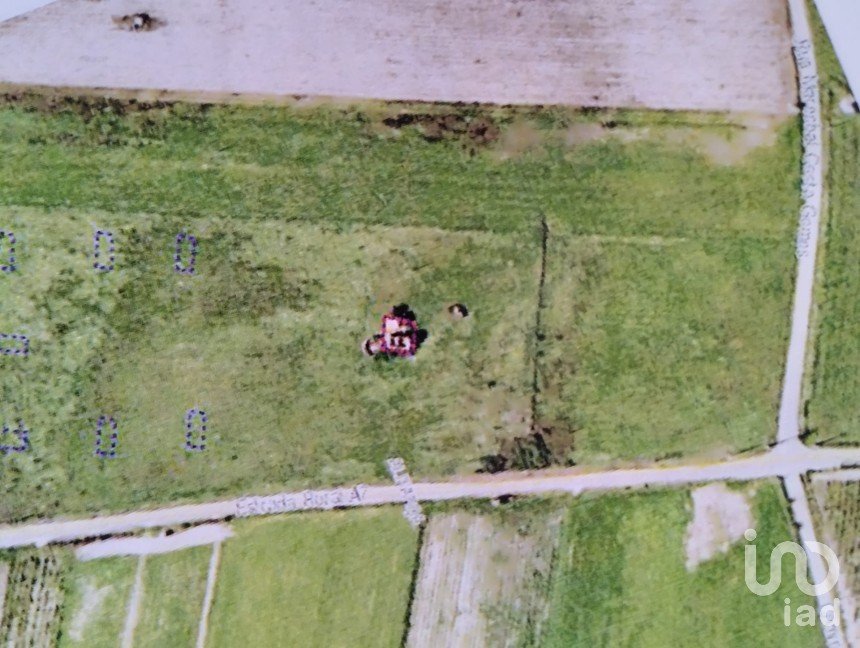 Terreno em Alpiarça de 22 000 m²