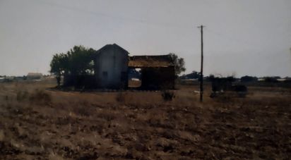 Terrain à Alpiarça de 22 000 m²