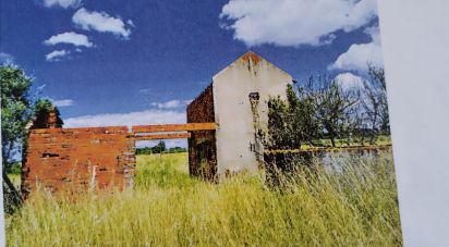 Terrain à Alpiarça de 22 000 m²