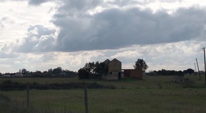 Terrain à Alpiarça de 22 000 m²