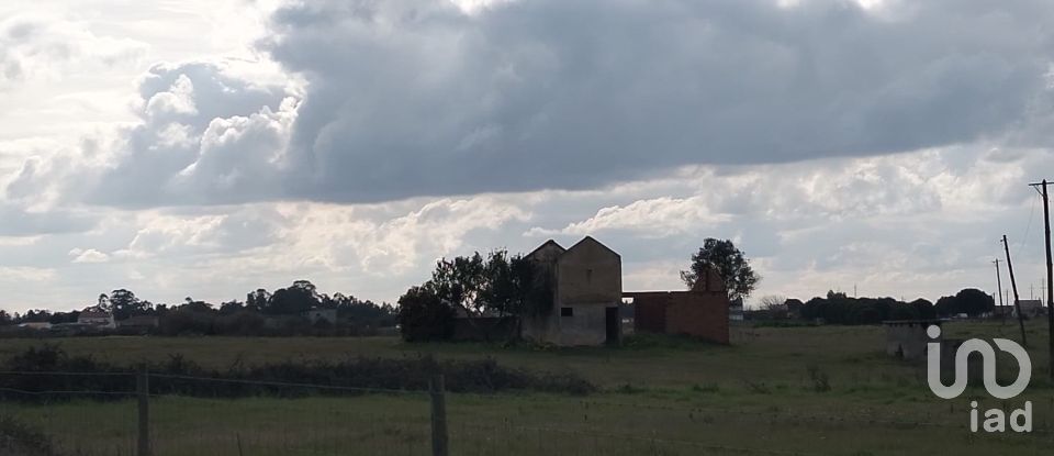 Terreno em Alpiarça de 22 000 m²