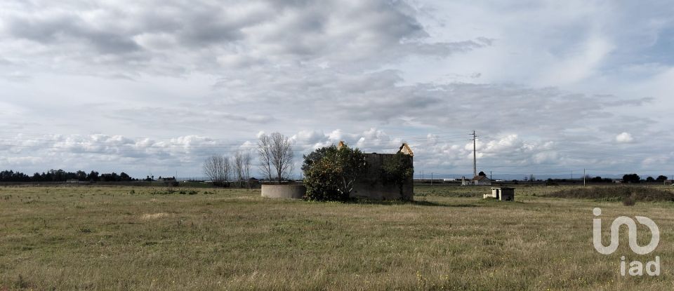 Terreno em Alpiarça de 22 000 m²