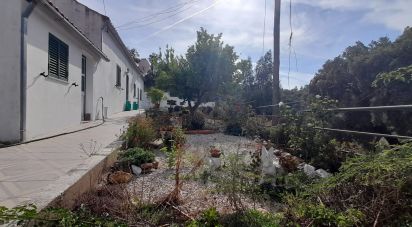 Maison T1 à Salgueiro do Campo de 78 m²