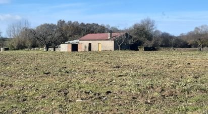 Terrain agricole à Três Povos de 18 090 m²