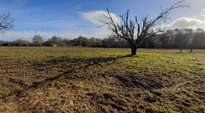 Terrain agricole à Três Povos de 18 090 m²
