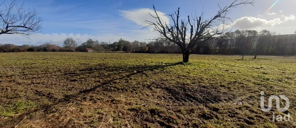 Terreno rústico em Três Povos de 18 090 m²