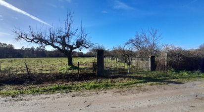 Terrain agricole à Três Povos de 18 090 m²