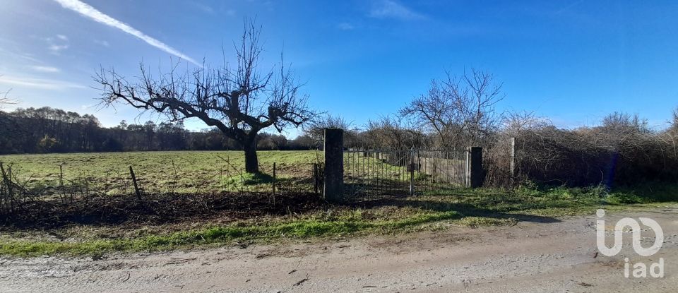 Terreno rústico em Três Povos de 18 090 m²