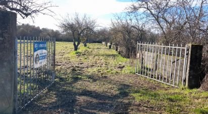 Terrain agricole à Três Povos de 18 090 m²