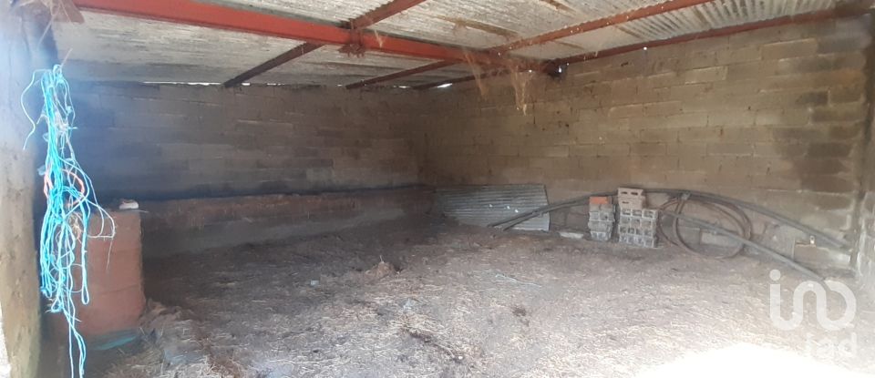 Terreno rústico em Três Povos de 18 090 m²