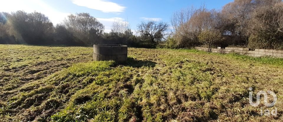Terreno rústico em Três Povos de 18 090 m²
