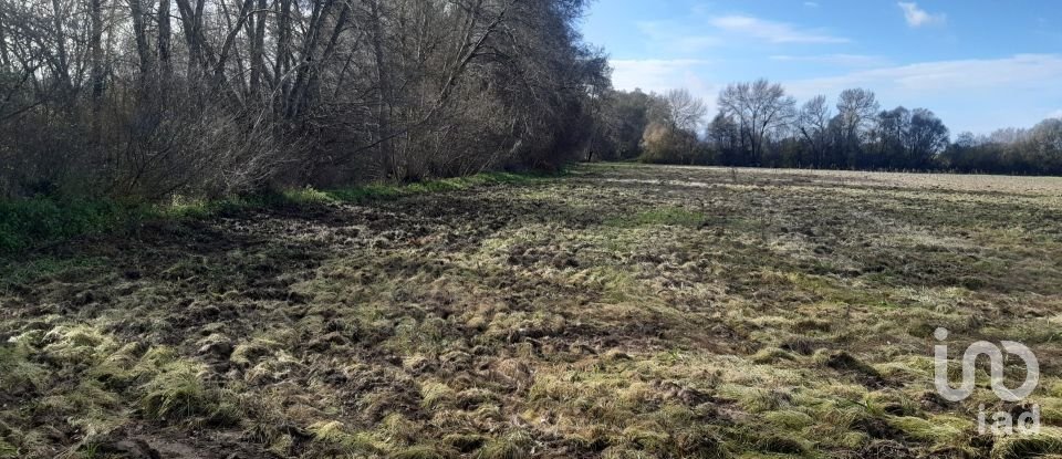 Terreno rústico em Três Povos de 18 090 m²