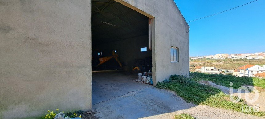 Surface diverse à Lourinhã e Atalaia de 264 m²